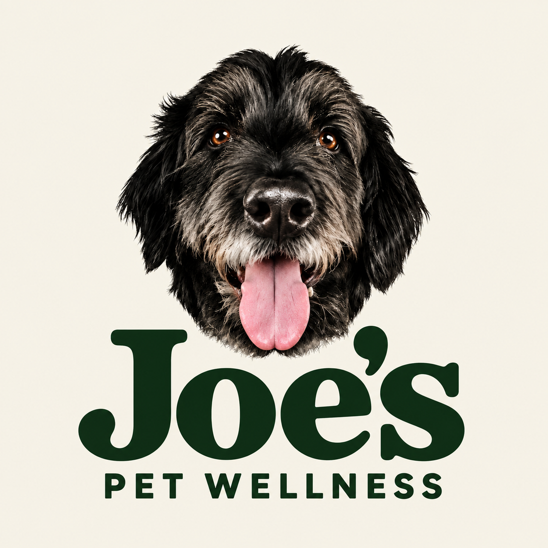 Joe’s Pet Wellness — Joe the dog with forest green lettering on ivory