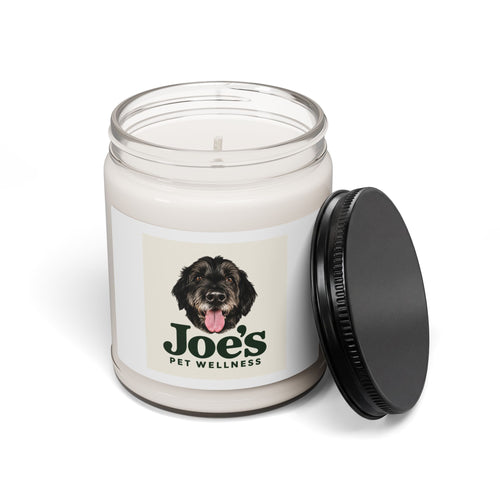 Joe's Cozy Home Candle | Apple Harvest 9oz