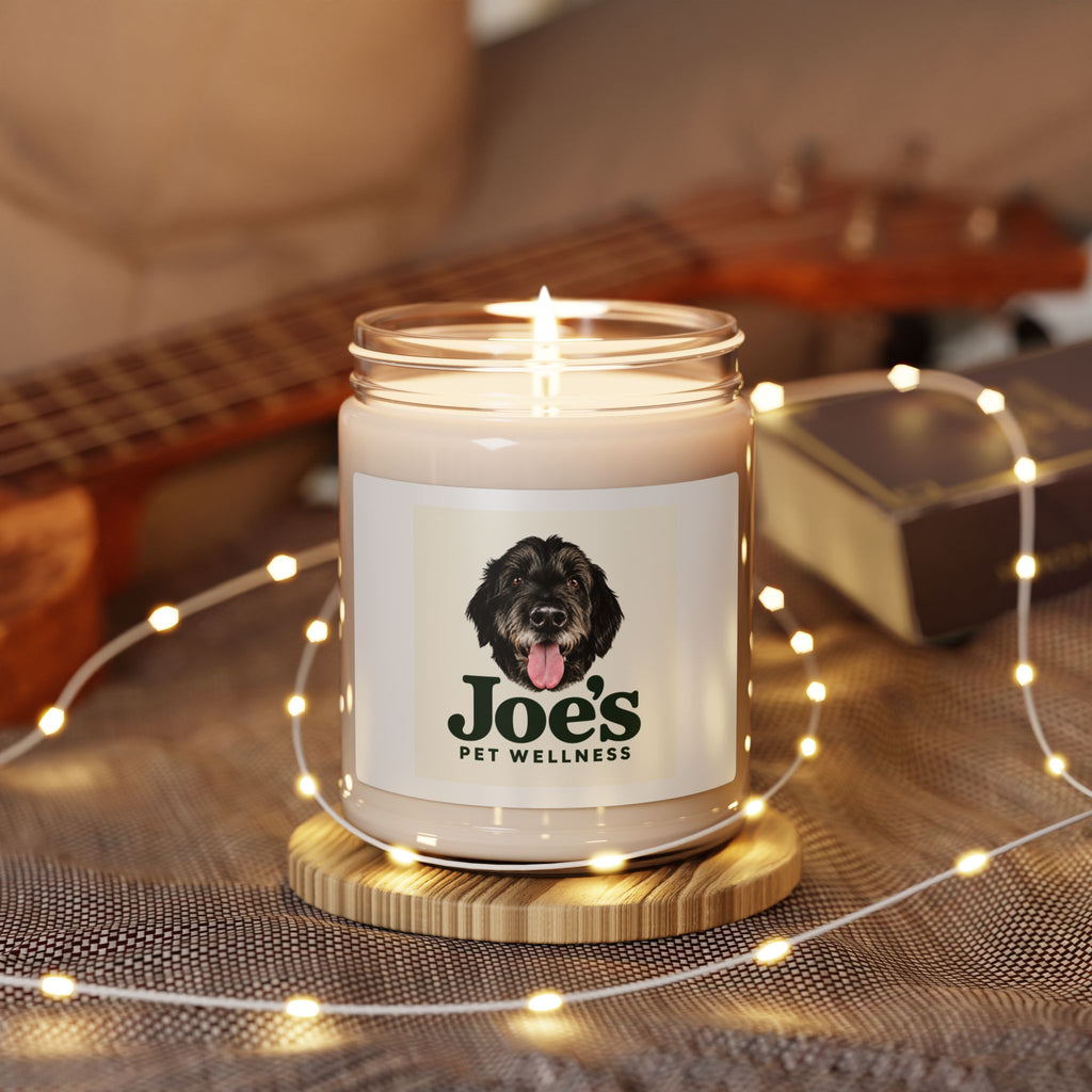 Joe's Cozy Home Candle | Apple Harvest 9oz