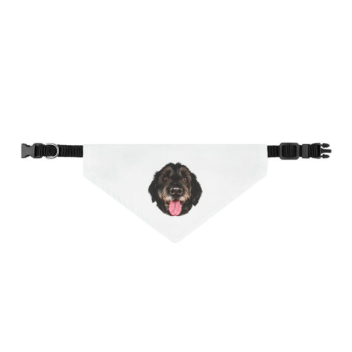 Joe's Happy Companion Bandana | Small