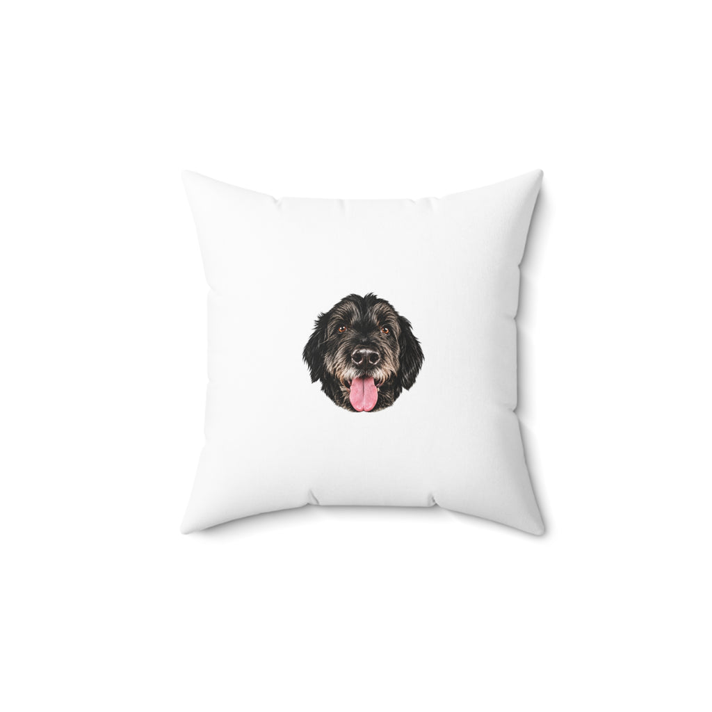 Joe's Good Company Throw Pillow | 14-inch