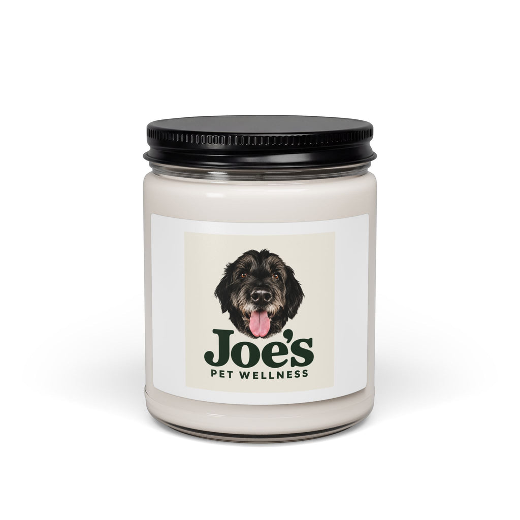 Joe's Cozy Home Candle | Apple Harvest 9oz